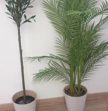 בית הארחה Pensamento Iv ליסבון